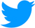 Twitter icon